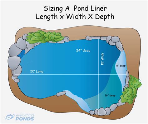 The Historical Significance of Pond Rock in Garden Design